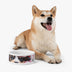 Pet Bowl - Paw Pack Collection Matching Backpack Design